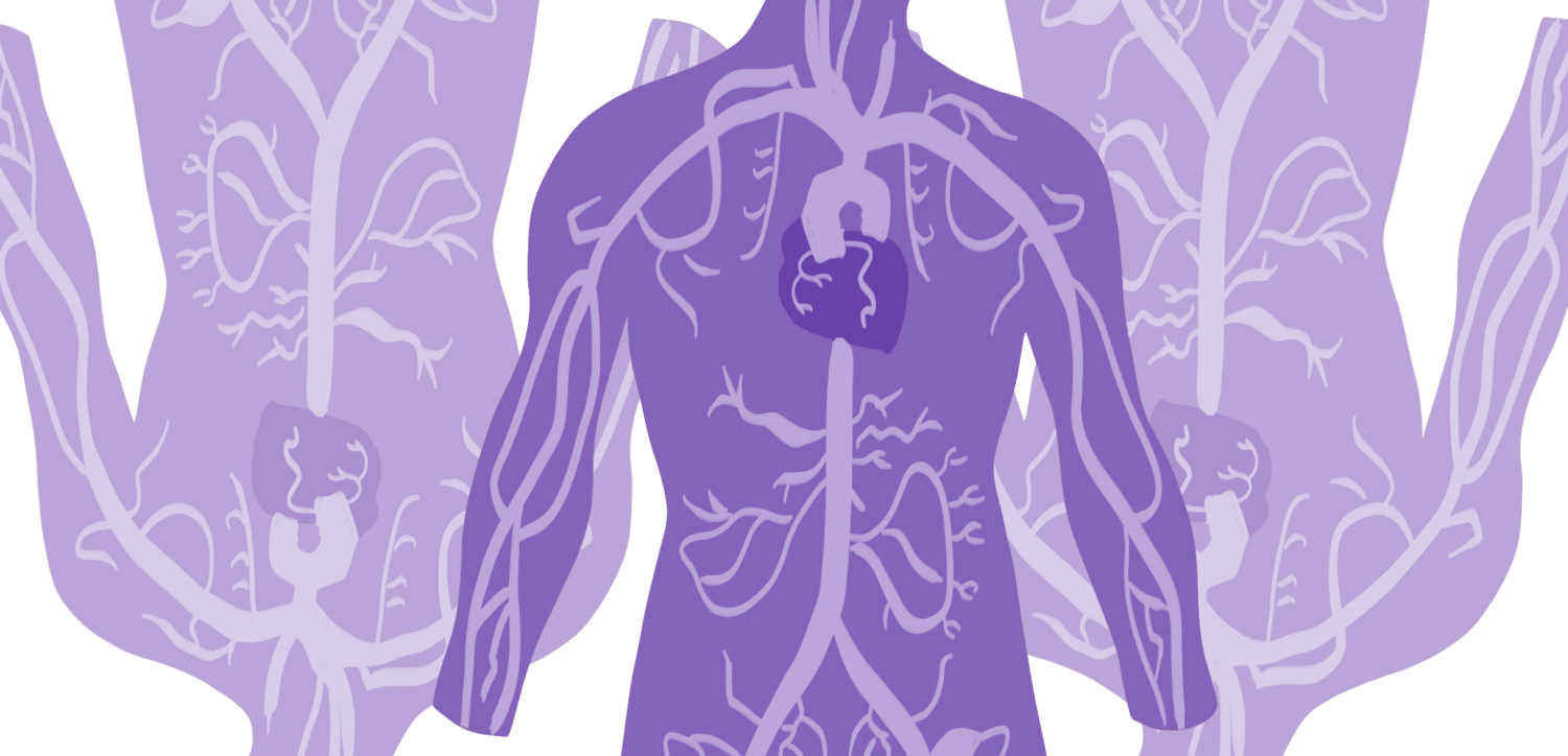 Silhouettes cardio mauves