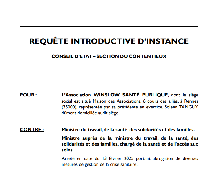 Capture Capture d'écran de la requête introductive d'instance du Conseil d'Etat.