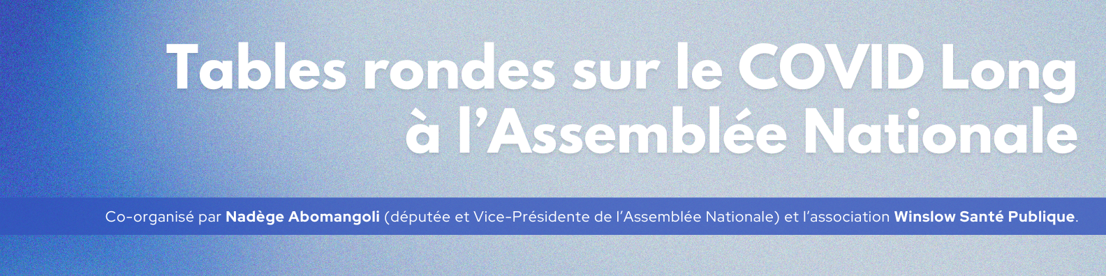 PP Bannière de présentation de la page rassemblant les tables rondes sur le COVID Long à l'Assemblée Nationale