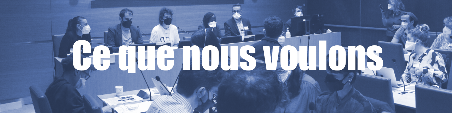 BandeauVoulons2