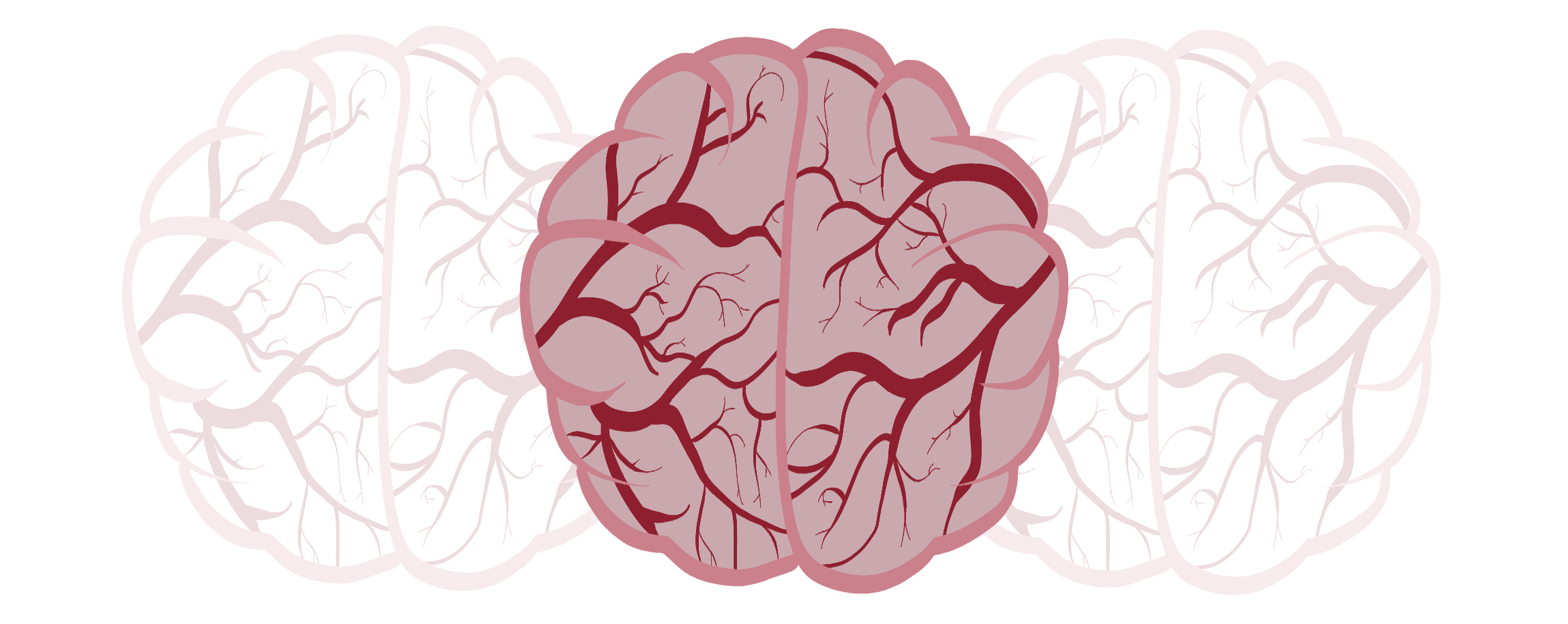 Illustration_études_neurovasculaires